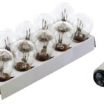 Solero Bulb 12V 21/5W BAY15D