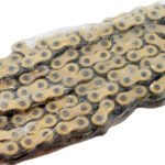 Regina 520 RH2 Chain+Conn.link