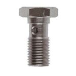 Goodridge Banjo bolt 10X1.00mm