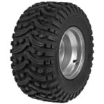 Tire Wheel assembly 22x11-10 6pr Right 77-12191, 77-12186