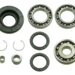 Bronco Differential Bearing & Seal Kit
