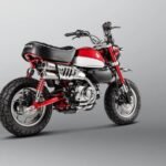 Akrapovic Slip-On Line (Titanium) Monkey 125 2019-
