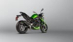 Akrapovic Slip-on Line (Carbon) Z900 2020- - Image 2