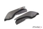 Puig Faceplate Passenger Supp. Cap Bmw R1200R/Rs 15-18'